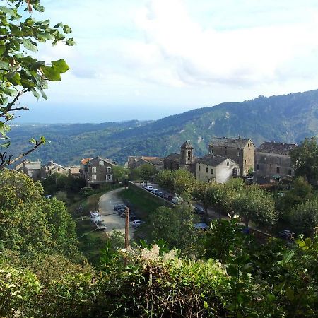 English Club In Corsica B&B Porri Ngoại thất bức ảnh