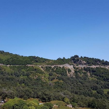 English Club In Corsica B&B Porri Ngoại thất bức ảnh