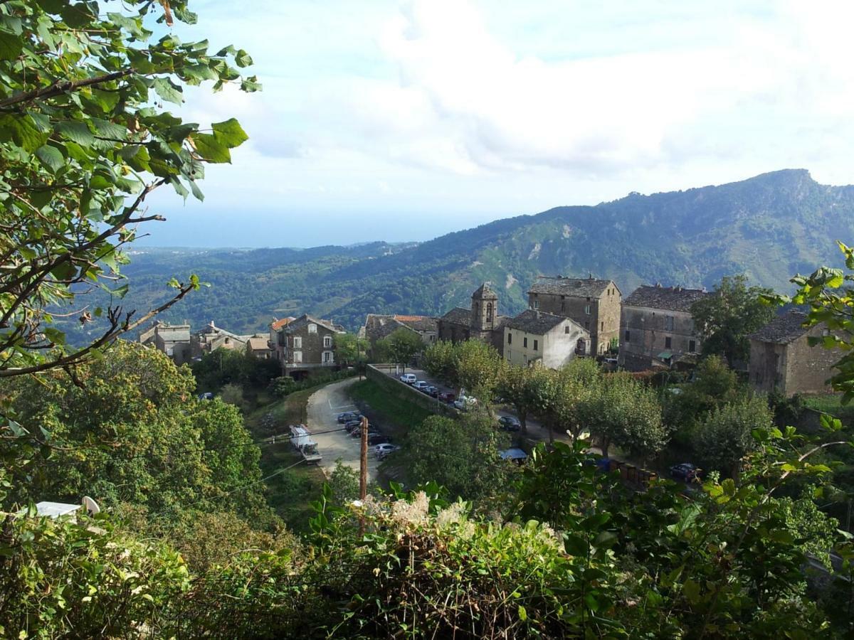 English Club In Corsica B&B Porri Ngoại thất bức ảnh
