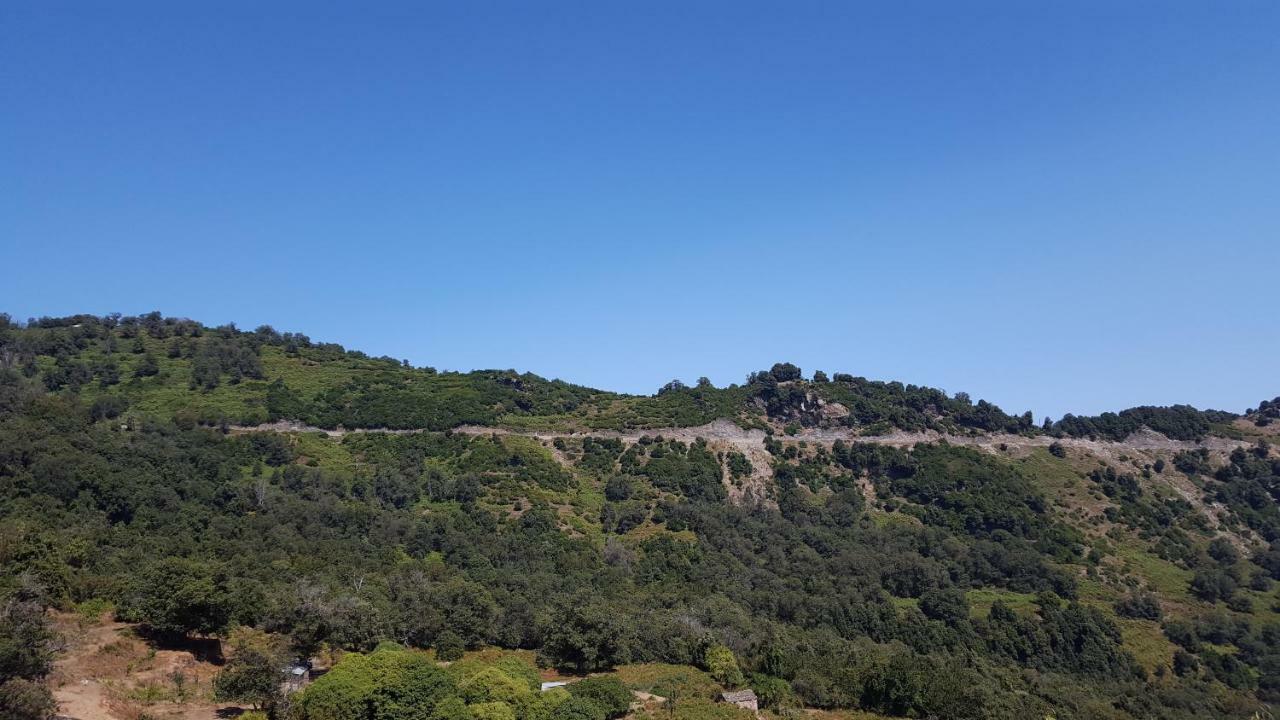 English Club In Corsica B&B Porri Ngoại thất bức ảnh