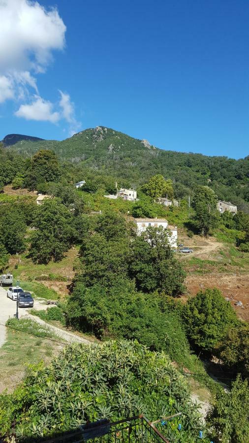 English Club In Corsica B&B Porri Ngoại thất bức ảnh