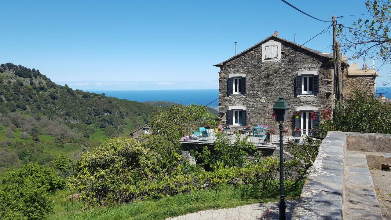 English Club In Corsica B&B Porri Ngoại thất bức ảnh