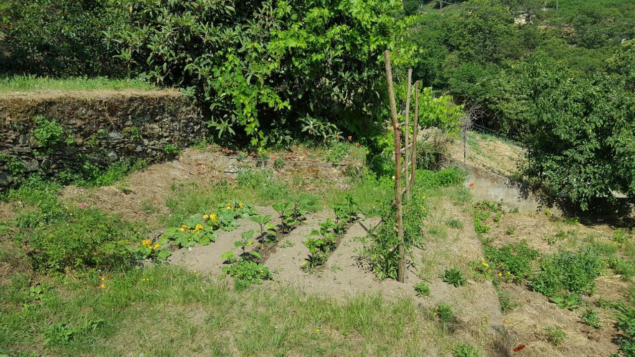English Club In Corsica B&B Porri Ngoại thất bức ảnh