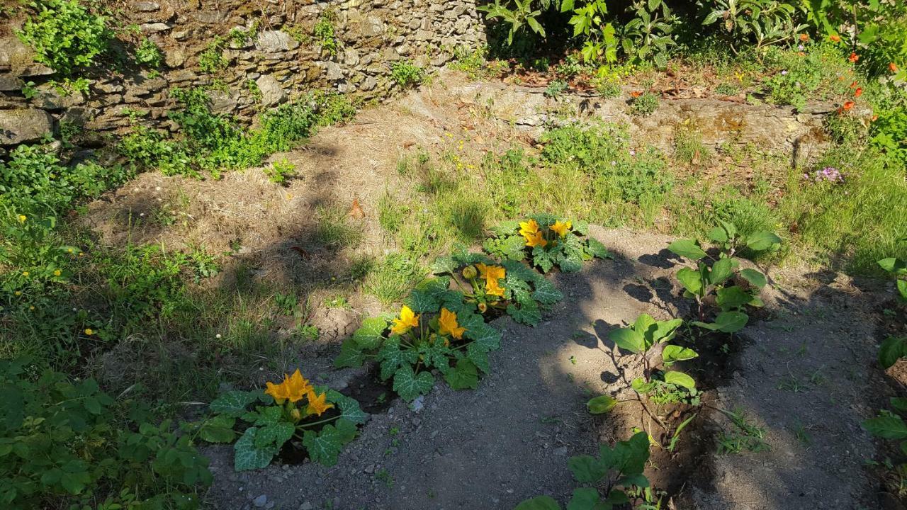 English Club In Corsica B&B Porri Ngoại thất bức ảnh